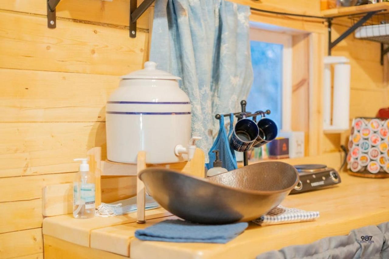 Villa Studio Log Dry Cabin| Aurora Views! à Fairbanks Extérieur photo