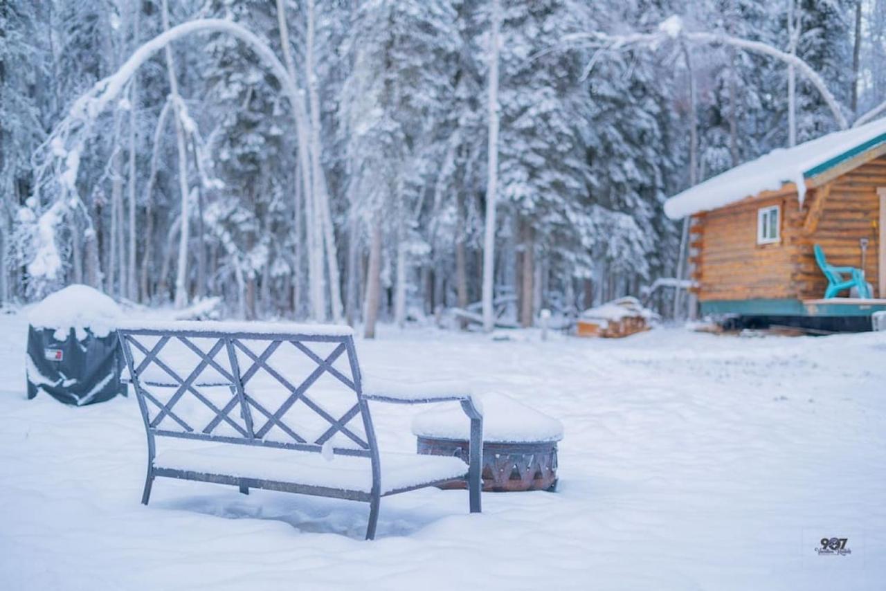 Villa Studio Log Dry Cabin| Aurora Views! à Fairbanks Extérieur photo